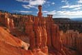 bryce canyon - thors hammer - utah - usa 044